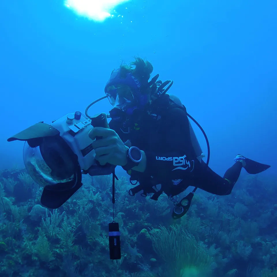 Ocean Reef Broadcasting Conference Call dykkeradio