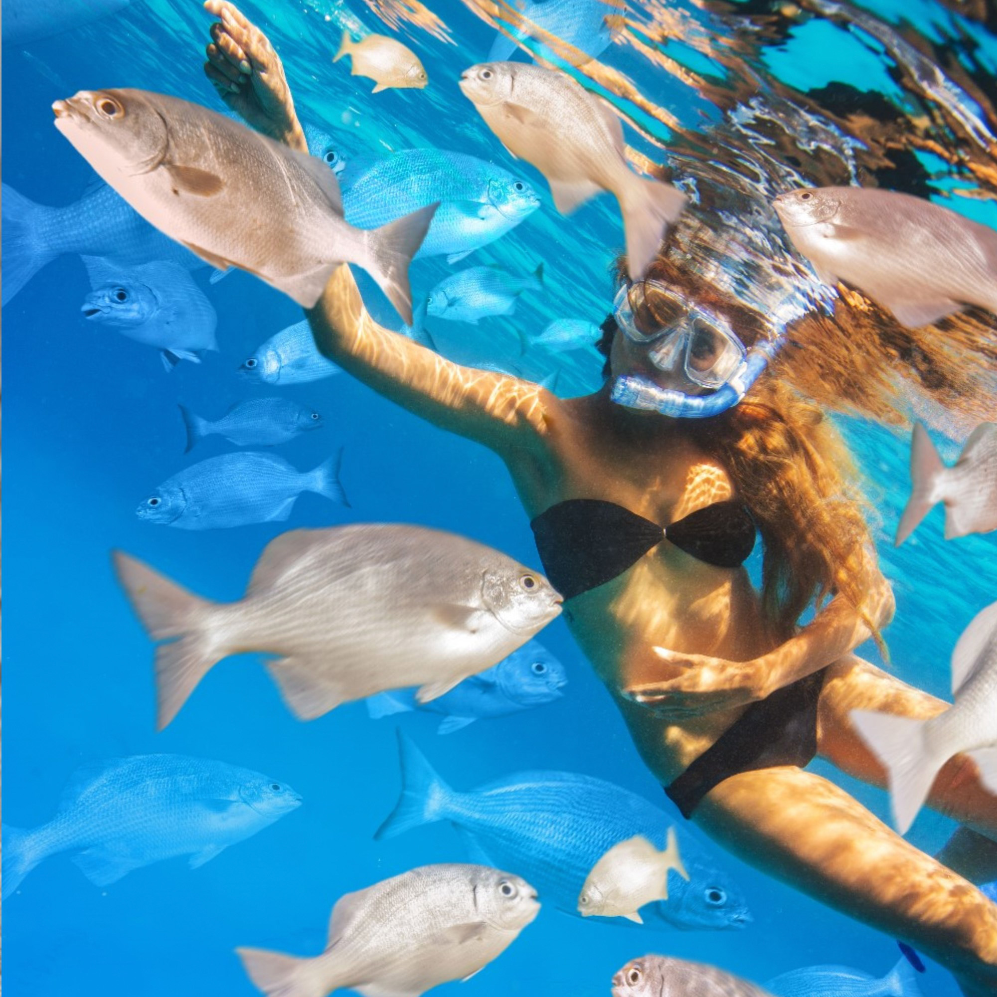 TUSA Platina Hyperdry snorkelsett voksne reise