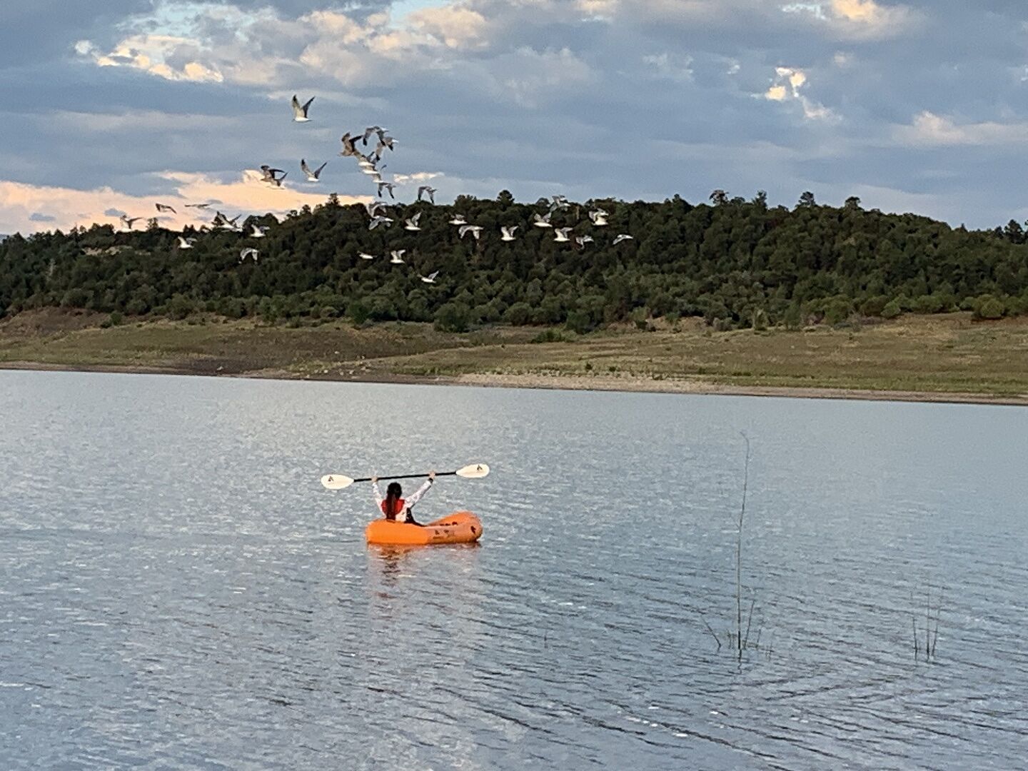 Kokopelli Alpine Lake padleåre 4-delt 220 cm lav vinkel